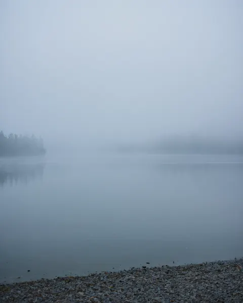 A foggy lake with a rocky shore and distant trees barely visible through the mist.