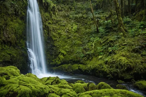 A waterfall flows over mossy rocks in a dense green forest.