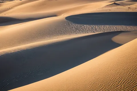 Curved sand dunes with rippled textures bathed in golden sunset light and deep shadows.