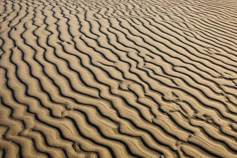 Rhythmic wave patterns in golden sand with deep shadows creating a textured desert surface.