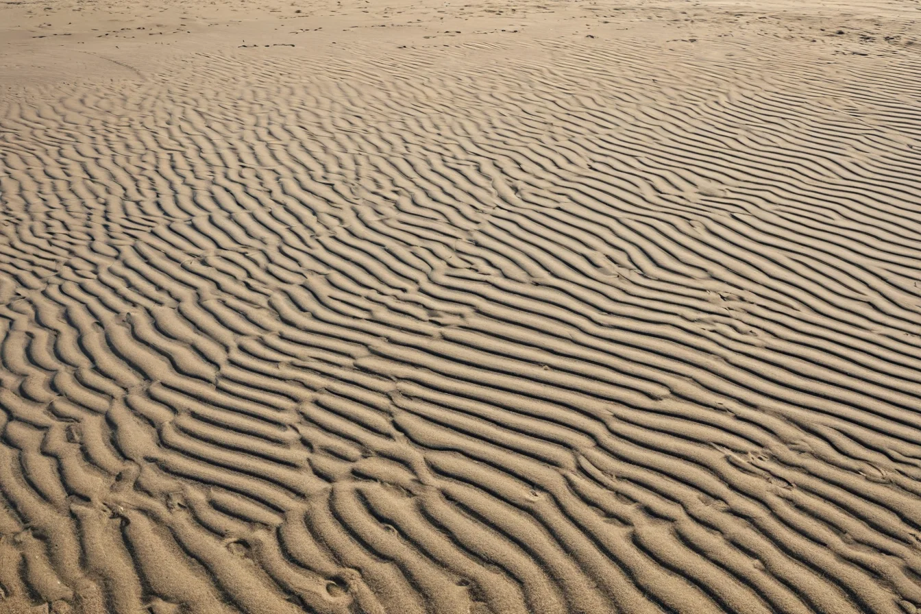 Rippled golden sand dunes with soft shadows creating a textured wave pattern across the desert floor