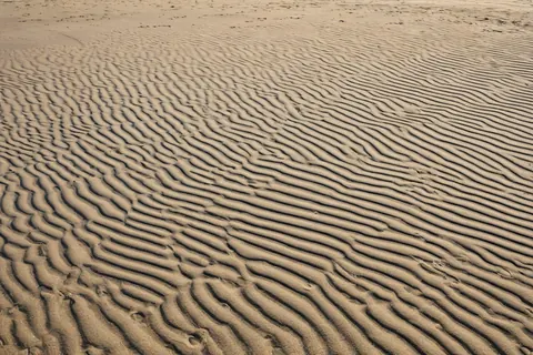 Rippled golden sand dunes with soft shadows creating a textured wave pattern across the desert floor