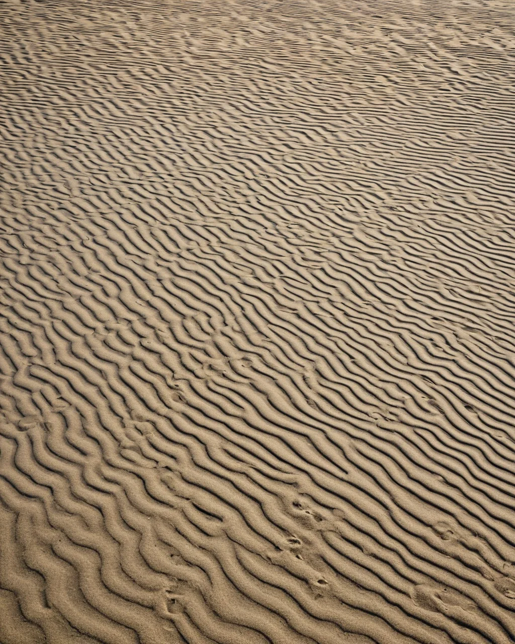 Rippled sand dunes with scattered footprints in beige tones