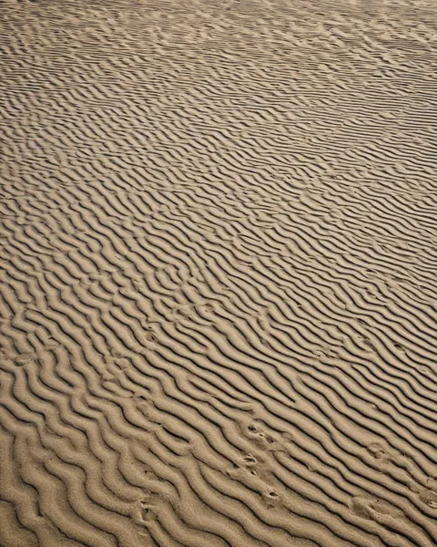 Rippled sand dunes with scattered footprints in beige tones