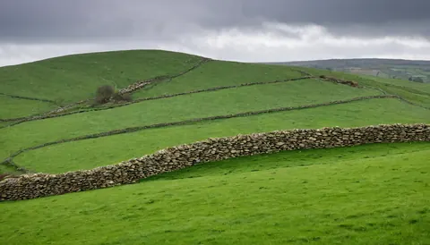 Rolling green hills divided by stone walls under a cloudy sky