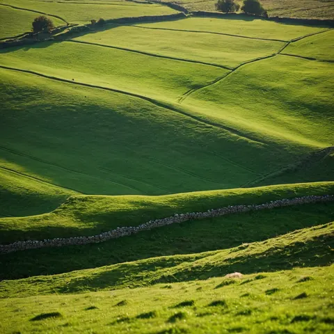 Rolling green hills with stone walls and scattered trees under bright sunlight