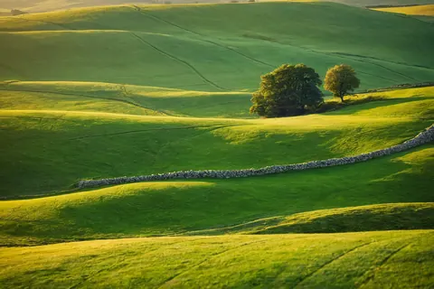 Rolling green hills with stone walls and trees under golden sunlight.