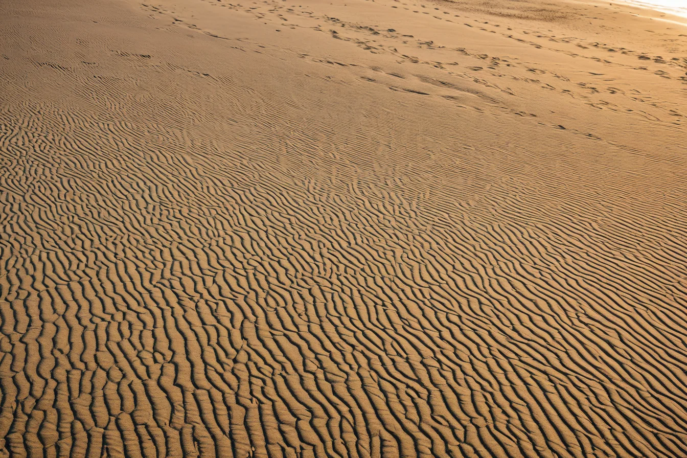 Wavy sand patterns with footprints leading to the ocean horizon