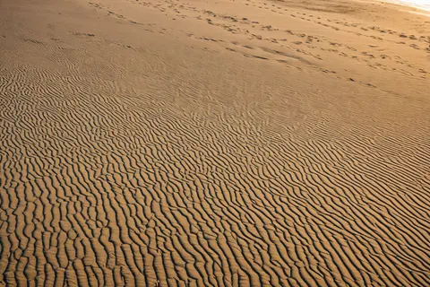 Wavy sand patterns with footprints leading to the ocean horizon